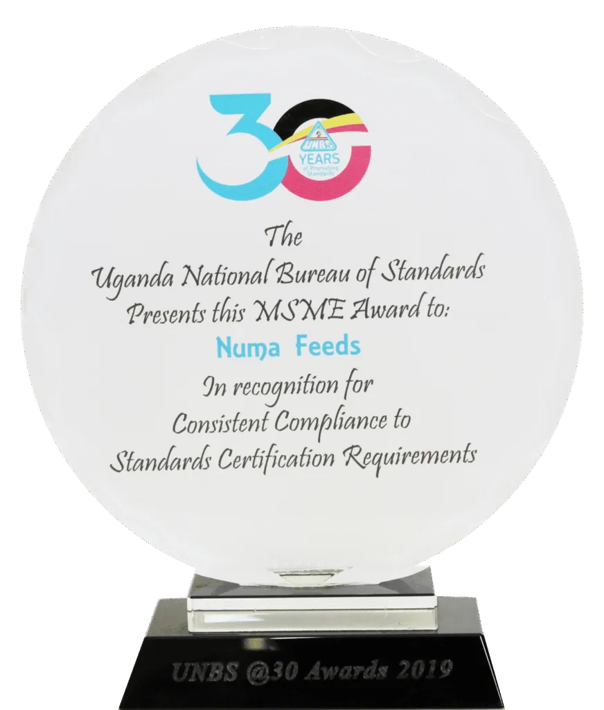 UNBS MSME Award